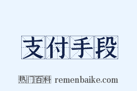 支付手段是什么意思的图片